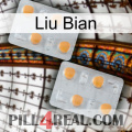 Liu Bian 25